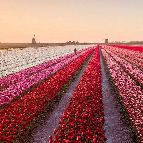 امید مهدیزاده وَدس هَواو از ژَ دَ دوده آی مرارَ جان مرارَ